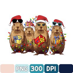 capybara merry christmas png, capybara santa xmas lights png, capybara lover png, christmas animals png, christmas gifts