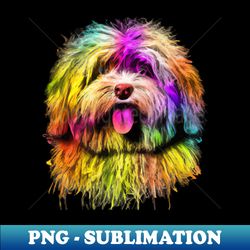 fluffy havanese photo art - professional sublimation digital download - fashionable and fearless