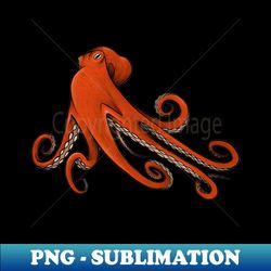 octopus octopus illustration octopus drawing octopus artwork - aesthetic sublimation digital file - bold & eye-catching