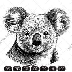 koala svg file, koala detailed file, animal face svg , cute koala svg, koala face svg, animal svg file, australia svg fi