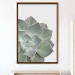 blooming green desert succulent nature plants canvas art print, frame large wall art, gift, wall decor