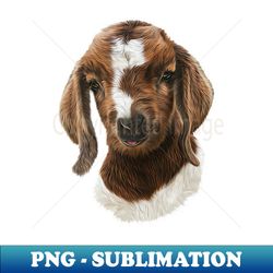portrait of a goat  - boer goat baby nicklaus - premium sublimation digital download - perfect for sublimation mastery
