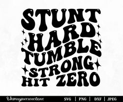 hit zero svg, cheer svg, cheer aunt png, cheer, cheerleading svg, cheer sayings, cheer life svg, cheer mom svg