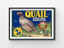 1919 quail pears poster! (up to 24 x 36) - kitchen - decor - bartlett - fruit - label - farm house - usa