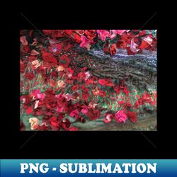 Poppies - Premium PNG Sublimation File - Perfect for Personalization