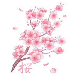 falling sakura cherry blossom