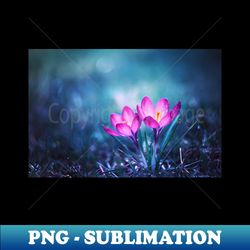 magical spring - instant sublimation digital download - fashionable and fearless