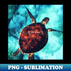 turtle ocean photography - creative sublimation png download - unlock vibrant sublimation designs