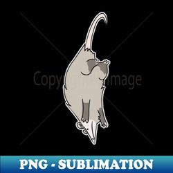 hang in there - exclusive png sublimation download - create with confidence