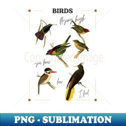 birds - decorative sublimation png file - bold & eye-catching