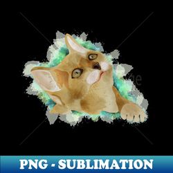 cat illustration - unique sublimation png download - stunning sublimation graphics