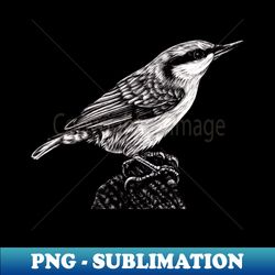 eurasian nuthatch illustration - trendy sublimation digital download - fashionable and fearless