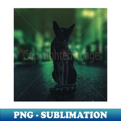 galaxy cat - decorative sublimation png file - perfect for personalization