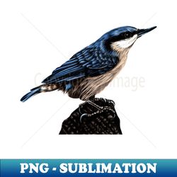 eurasian nuthatch - png transparent sublimation design - enhance your apparel with stunning detail