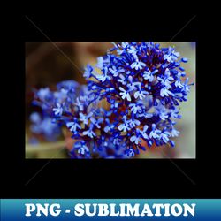 blue flowers photograph design - modern sublimation png file - instantly transform your sublimation projects