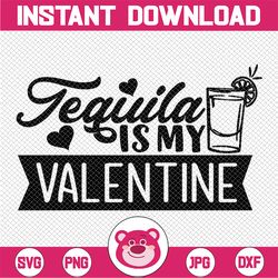 tequila is my valentine svg | tequila svg | cricut svg