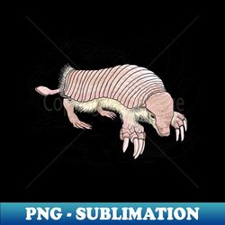 A Pink Fairy Armadillo under the moon - Instant PNG Sublimation Download - Capture Imagination with Every Detail