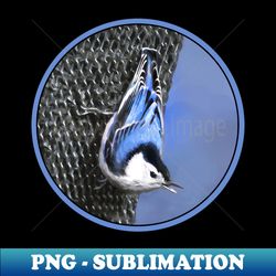 white-breasted nuthatch - digital sublimation download file - vibrant and eye-catching typography