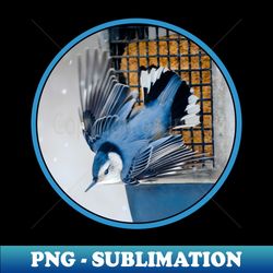 white-breasted nuthatch in snow photograph - artistic sublimation digital file - revolutionize your designs