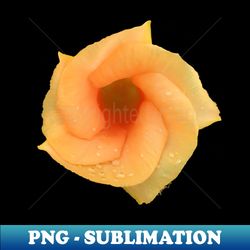 photo flower - professional sublimation digital download - perfect for sublimation art