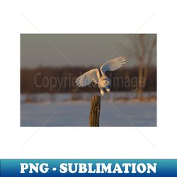 snowy owl taking off - decorative sublimation png file - stunning sublimation graphics