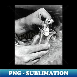 venom extraction - png sublimation digital download - perfect for sublimation art