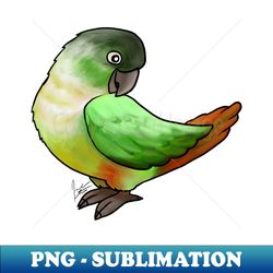 bird - conure - green cheeked conure - high-quality png sublimation download - unleash your inner rebellion