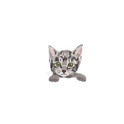 cat machine embroidery design. 4 sizes. pet embroidery design