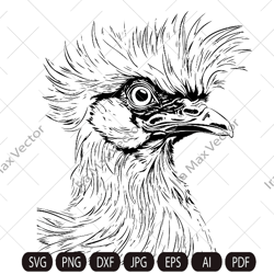 silkie hen svg, silkie hen head svg, silkie hen face svg, silk rooster, silkie bird, funny silkie hen digital image, ani