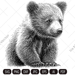 baby bear svg,bear cub face svg,little bear,grizzly bear,bear detailed, safari african animals,bear cub,nursery wall art