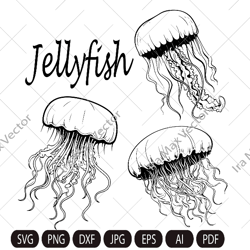 jellyfish svg file, ocean, sea animals, beach, summer, beach, svg files for cricut and silhouette, paper cut template