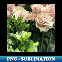 photo pink beautiful roses - elegant sublimation png download - create with confidence