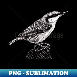 eurasian nuthatch illustration - professional sublimation digital download - perfect for sublimation art