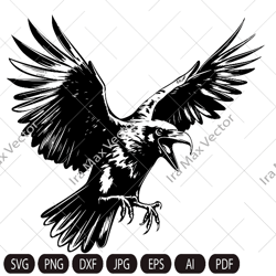 raven svg, raven silhouette dxf, raven clipart, crow svg, bird svg, crow flying svg, raven flying