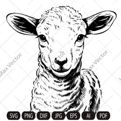 lamb svg, sheep svg, cute farm animal, livestock,farm life, lamb clipart, lamb vector, lamb  printable, lambs svg