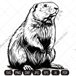 happy beaver svg, cute beaver svg, beaver svg, smiling beaver svg, beaver shirt, beaver clipart, cut files, beaver face