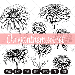 chrysanthemum clipart/line chrysanthemum clipart/autumn flower/flower line art/floral clipart/hand drawn flower clipart/