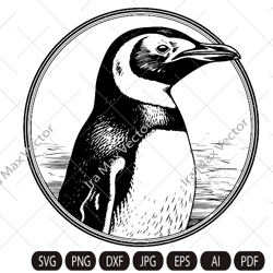 penguin svg, king penguin svg, sea animal svg, penguin silhouette, penguin clipart, penguin silhouette, penguin detailed