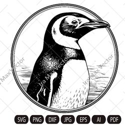 penguin svg, king penguin svg, sea animal svg, penguin silhouette, penguin clipart, penguin silhouette, penguin detailed