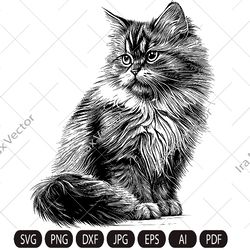 cat baby svg, cute kitten svg, kitten sitting, cute cat face svg, cat faces svg, face svg, cat svg bundle, cat image