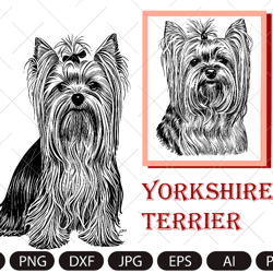 yorkshire dog svg, yorkshire terrier svg, yorkie face clipart, dog svg ,yorkshire terrier vector, yorkshire terrier