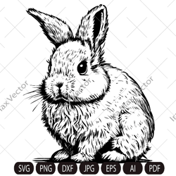 rabbit svg, bunny monogram, easter , hunter svg, peeking animal clipart, rabbit face vector image, bunny head print