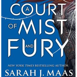 court of mist