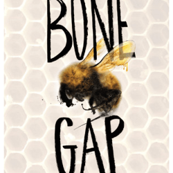 bone gap