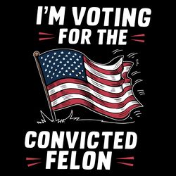 im voting for the convicted felon usa flag svg