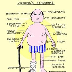 nclex nursing mnemonics complete (a collection of visual image and mnemonics to increase memory and learning) zipfile