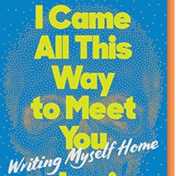 i came all this way to meet you by jami attenberg