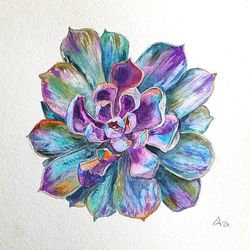 echeveria painting original watercolor art plant floral artwork succulent 8 by 8