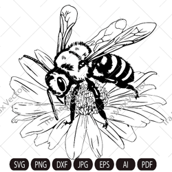 bee svg, floral bee, bee on flower, honey bee, bumble bee svg png jpg clip art silhouette cutting machine