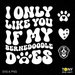 i only like you if my bernedoodle does svg png, funny dog quote svg, dog mom dog lover gift digital download sublimation